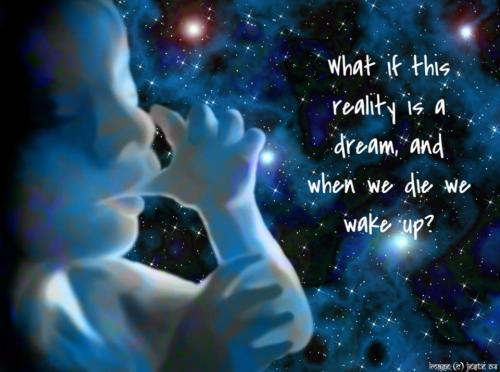 what-if-this-reality-is-a-dream