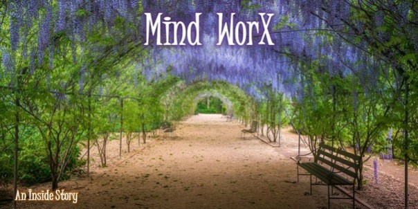 adelaide-botanic-garden-is-bursting-with-beautiful-colour